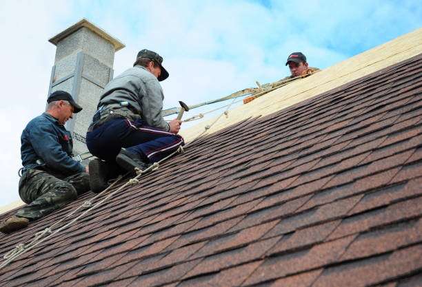 Best Flat Roof Repair Services  in Jessup, PA